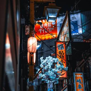 Japan iPhone 15 wallpaper