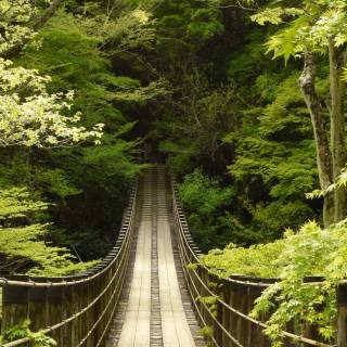 Japan iPhone 15 wallpaper