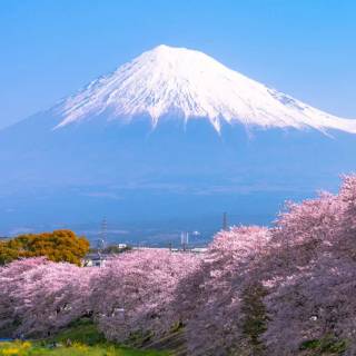 Japan iPhone 15 wallpaper