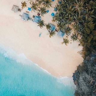 Preppy beach iPhone wallpaper