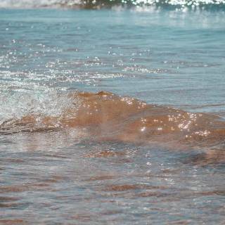 Preppy beach iPhone wallpaper