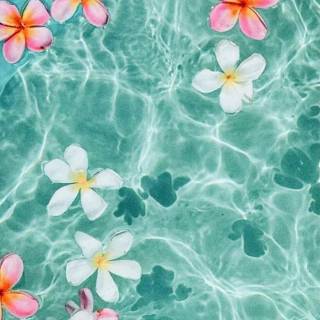 Preppy beach iPhone wallpaper