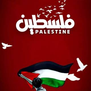 Palestine phone wallpaper