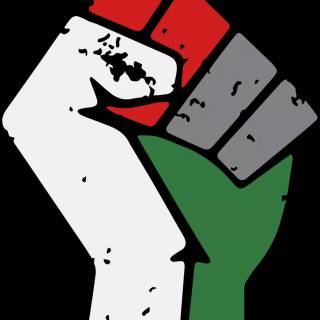 Palestine phone wallpaper