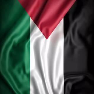 Palestine phone wallpaper