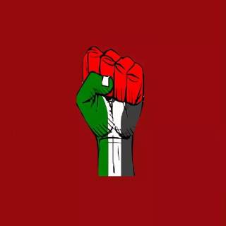 Palestine phone wallpaper