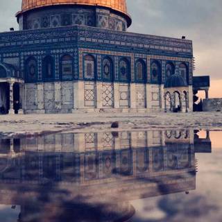 Palestine phone wallpaper