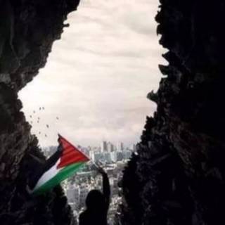 Palestine phone wallpaper