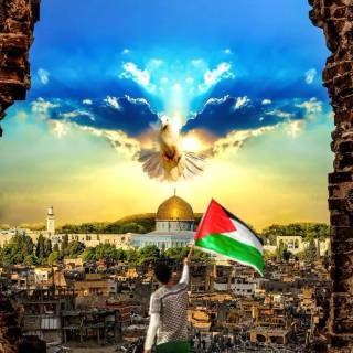 Palestine phone wallpaper