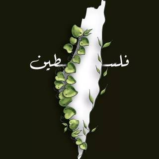 Palestine phone wallpaper