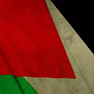 Palestine phone wallpaper