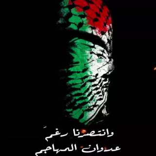 Palestine phone wallpaper