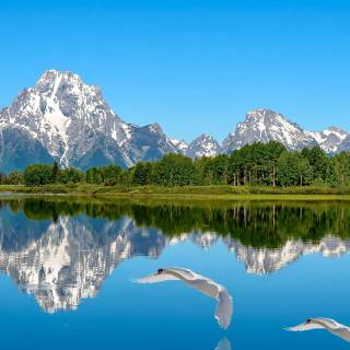 Blue phone aesthetic wallpaper