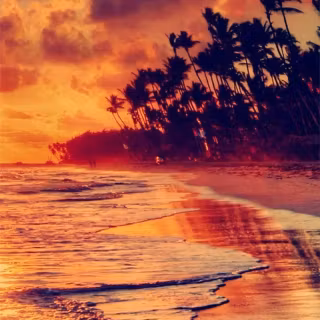 Aesthetic beach iPhone wallpaper