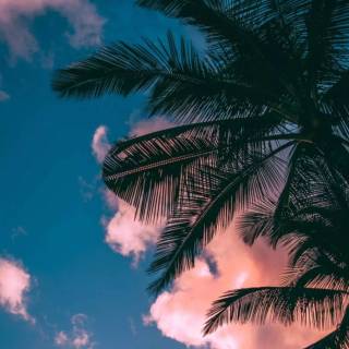 Aesthetic beach iPhone wallpaper