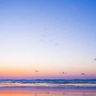 Aesthetic beach iPhone wallpaper