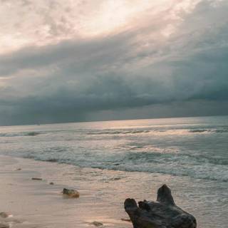 Aesthetic beach iPhone wallpaper