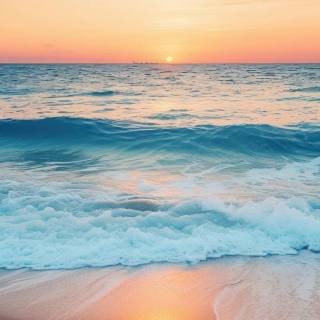 Aesthetic beach iPhone wallpaper