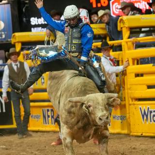 Stetson Wright wallpaper