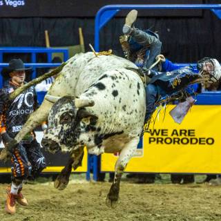 Stetson Wright wallpaper