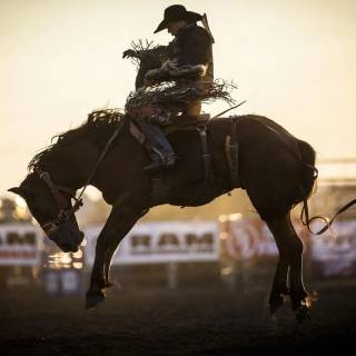 Stetson Wright wallpaper