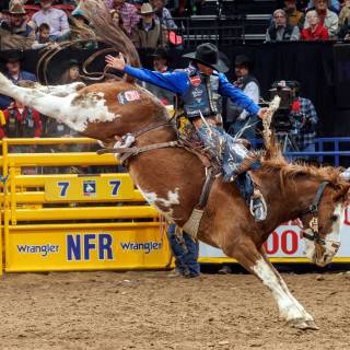 Stetson Wright wallpaper