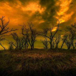 Horror sky wallpaper