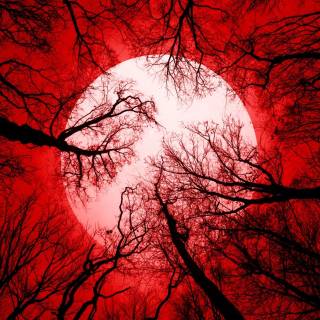 Horror sky wallpaper