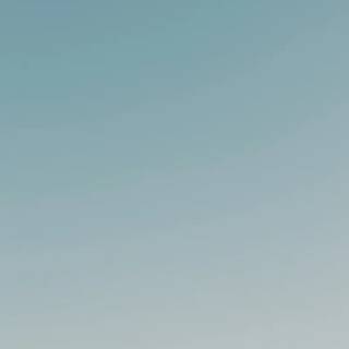 Minimal dog wallpaper