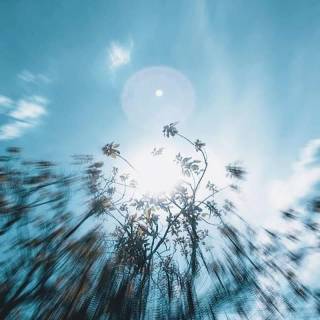 Blurry blue wallpaper