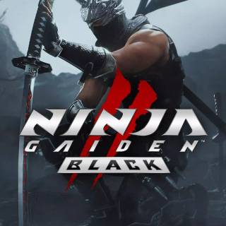 Ninja Gaiden 2 Black wallpaper