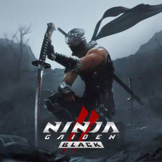 Ninja Gaiden 2 Black wallpaper