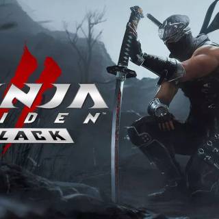 Ninja Gaiden 2 Black wallpaper