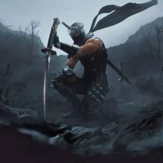 Ninja Gaiden 2 Black wallpaper