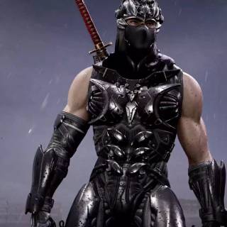Ninja Gaiden 2 Black wallpaper