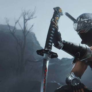 Ninja Gaiden 2 Black wallpaper