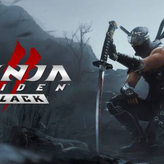 Ninja Gaiden II Black wallpaper
