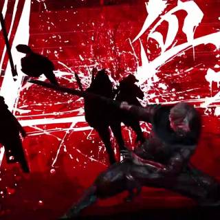 Ninja Gaiden 2 Black wallpaper