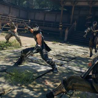 Ninja Gaiden 2 Black wallpaper