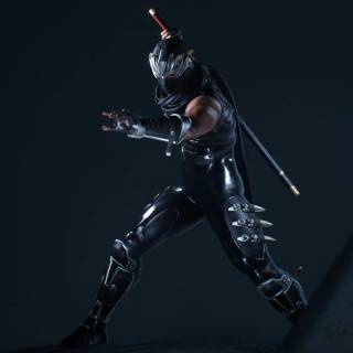 Ninja Gaiden 2 Black wallpaper