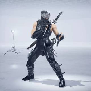 Ninja Gaiden 2 Black wallpaper