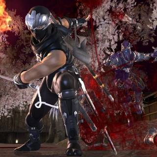 Ninja Gaiden II Black wallpaper