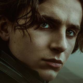 Timothée Chalamet 4k wallpaper