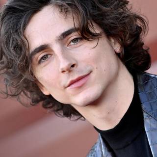 Timothée Chalamet 4k wallpaper