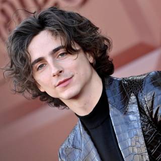 Timothée Chalamet 4k wallpaper