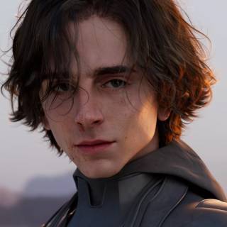 Timothée Chalamet 4k wallpaper