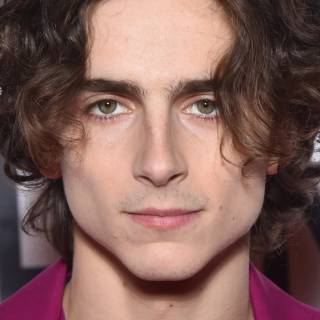 Timothée Chalamet 4k wallpaper