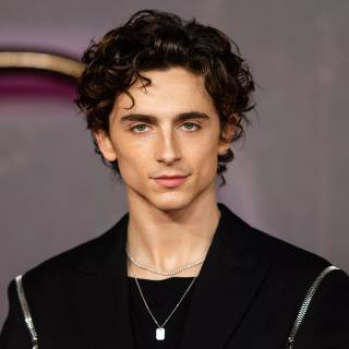Timothée Chalamet 4k wallpaper