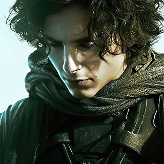 Timothée Chalamet 4k wallpaper