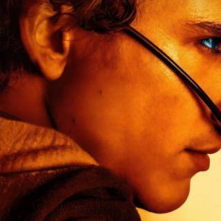 Timothée Chalamet 4k wallpaper